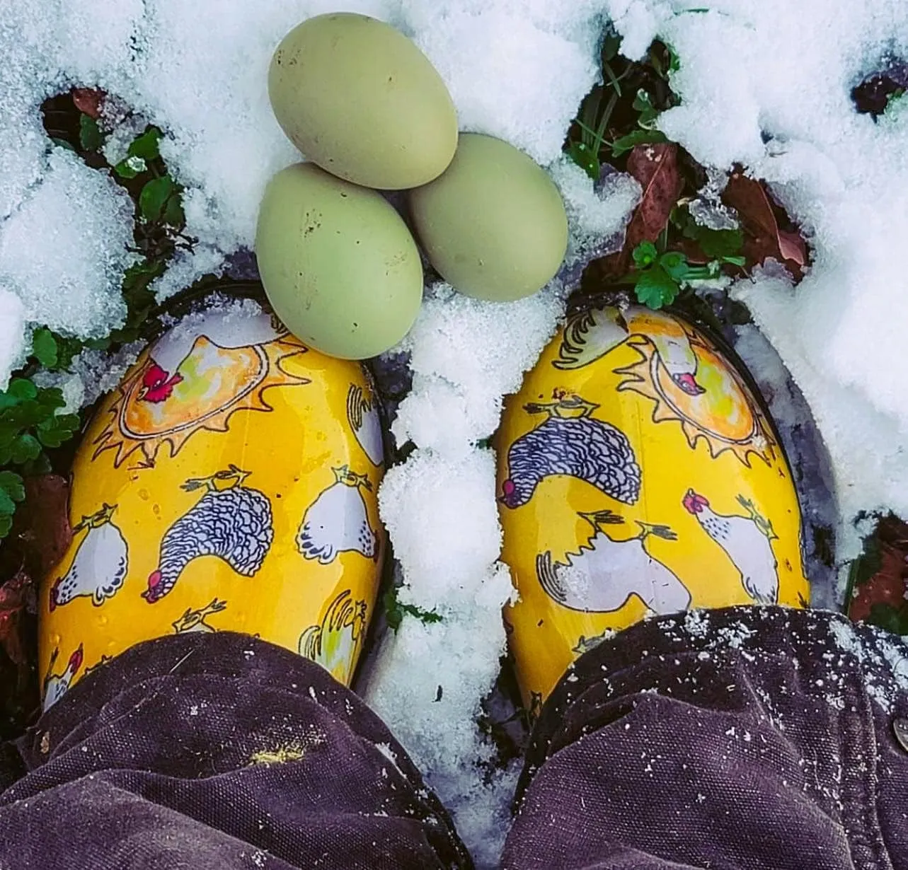Sloggers Original Waterproof Rain and Garden Shoe for Women Outdoor Slip-On Garden Clog - Made in The USA with Premium Comfort Insole and Arch Support - Chickens Daffodil Yellow, Size 9